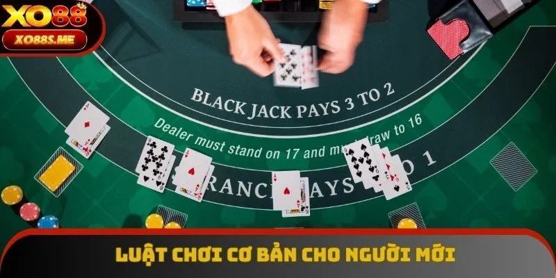 Luật chơi cơ bản cho người mới