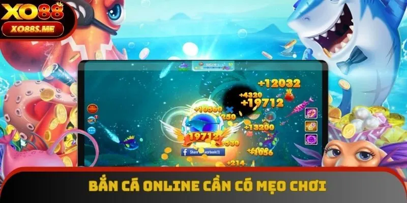 Áp dụng các chiến thuật săn bắt có hiệu quả