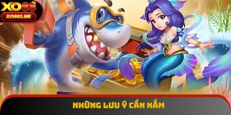 Những lưu ý cần nắm