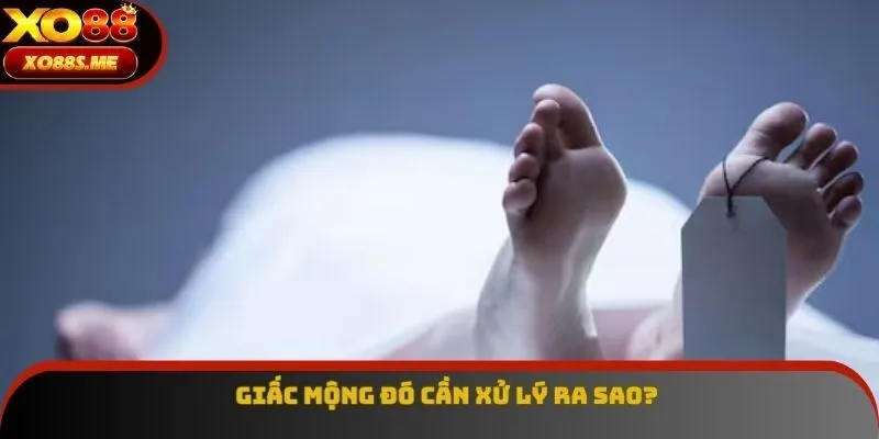 Giấc mộng đó cần xử lý ra sao?