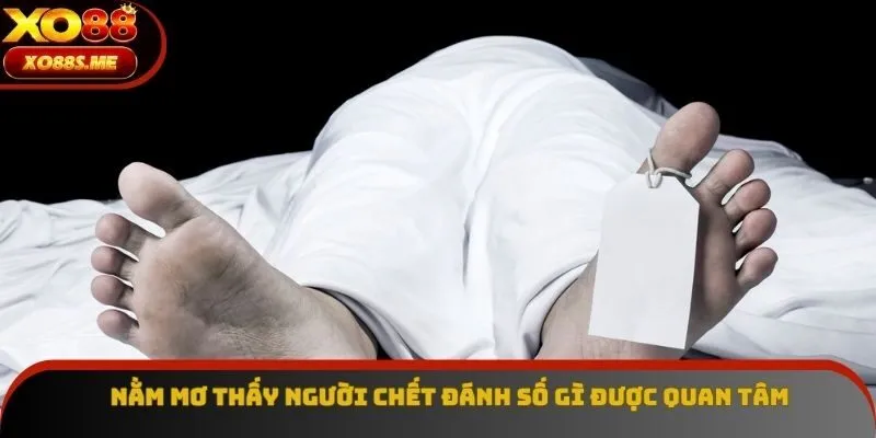 Nằm mơ thấy người chết đánh số gì được quan tâm
