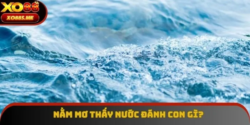 Nằm Mơ Thấy Nước Đánh Con Gì? Giá Trị Nổi Bật Trong 2025