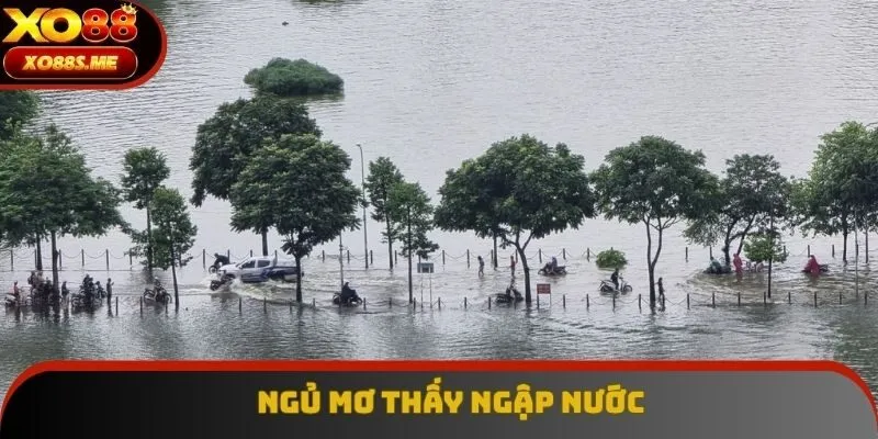 Nằm mơ thấy nước đánh con gì nếu như một vùng ngập lớn