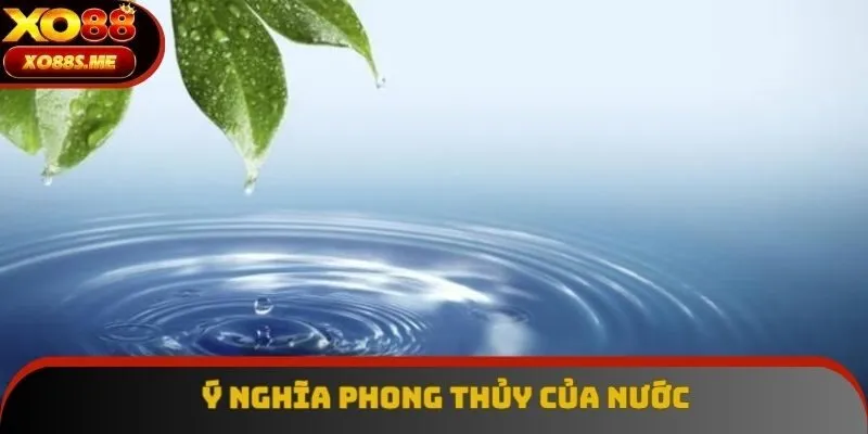 Ý nghĩa của nước trong phong thủy vô cùng quan trọng