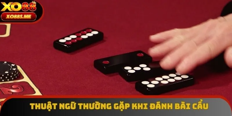 Tổng hợp thuật ngữ thông dụng trong ván Pai Gow