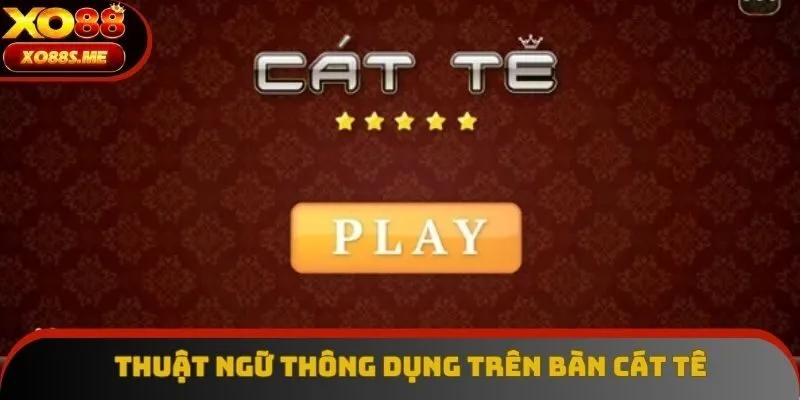 Thuật ngữ thông dụng được dùng trên bàn Catte