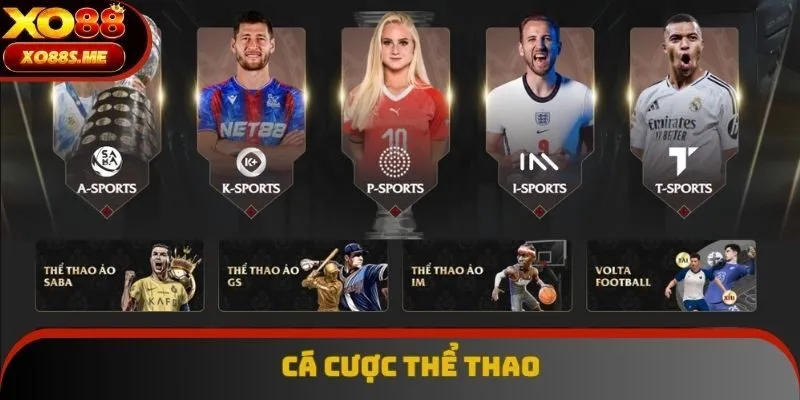 Cá cược thể thao nổi bật với nhiều sảnh cược